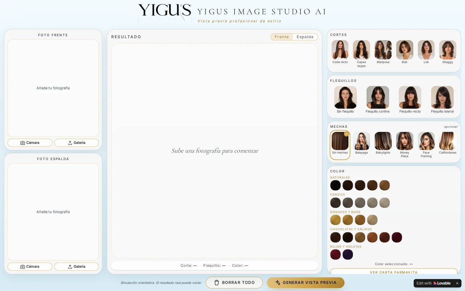 Vista de escritorio de la demo Yigus Style para peluquerías.